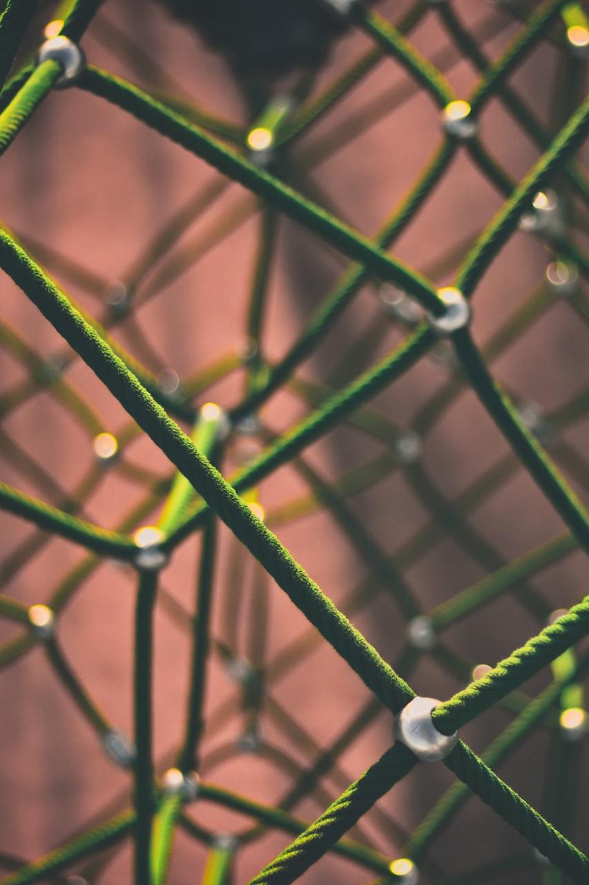 green and black rope